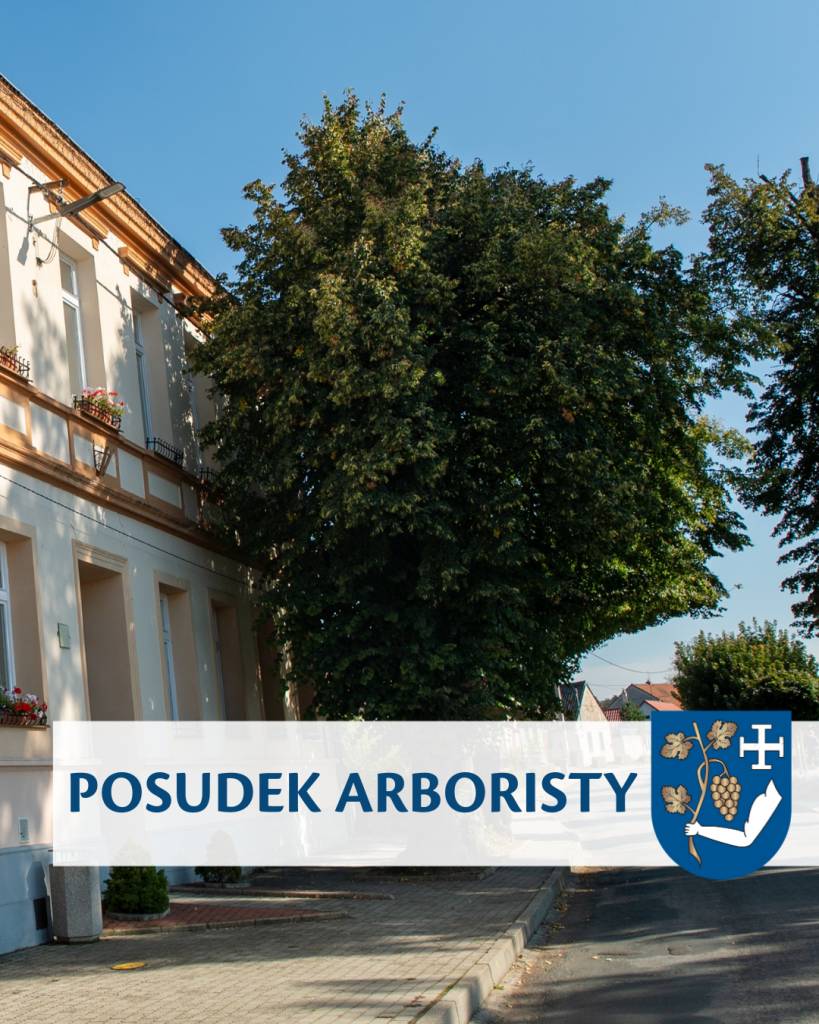 Na základě odborného posudku arboristy byly z bezpečnostních důvodů odstraněny havarijní lípy v okolí obecního úřadu a před hasičkou.