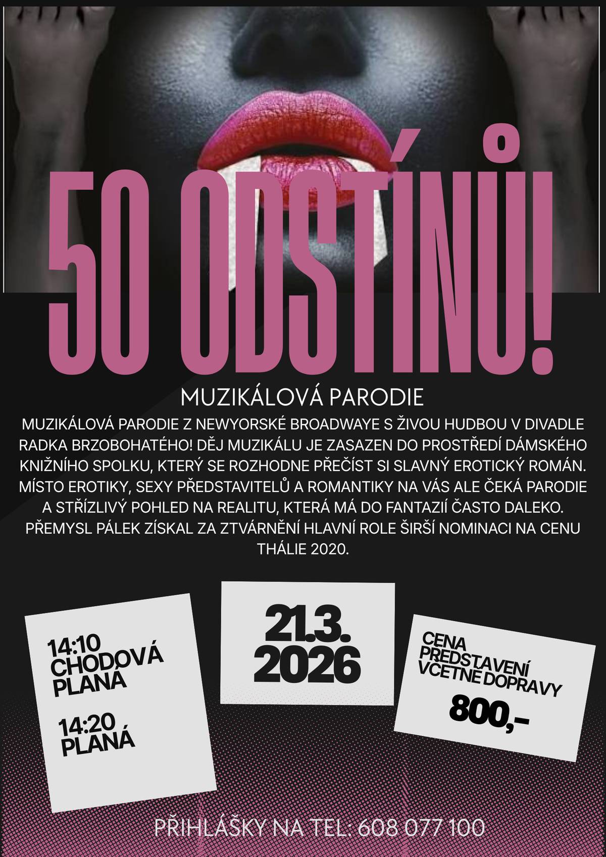 Muzikálová parodie