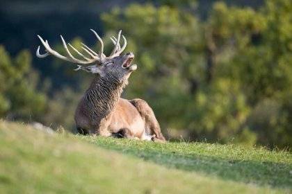 v pátek 20. 3. 2026 od 17.00 v sále Obecního domu ve Lhotce