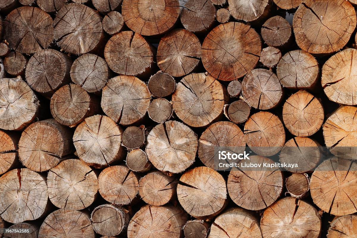 Pro občany obce otevíráme od 1. 4. 2026 pořadník na palivové dříví, cena za 1 prostorový metr je 750 Kč. Hlásit se můžete osobně v úředních hodinách na OU.