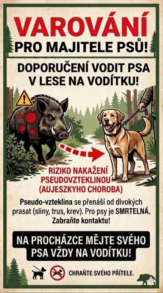 Varování pro majitele psů při návštěvě lesa