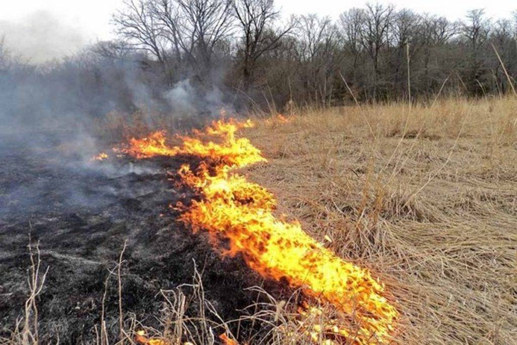 Vážení občania, s príchodom jarných mesiacov sa začína obdobie zvýšeného nebezpečenstva vzniku požiarov v prírode, na lúkach, v záhradách a v lesoch.
