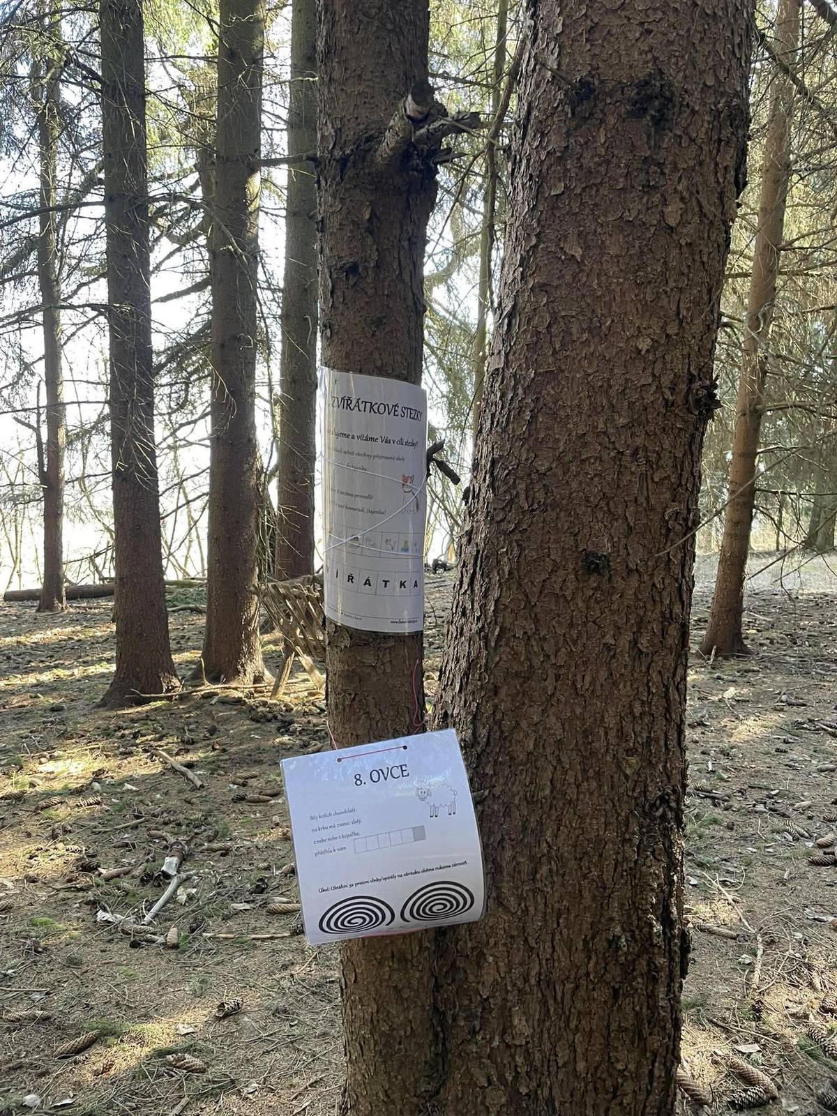 Kolektiv Mateřské školy v Trpíně připravil pro děti zvířátkovou stezku, kterou si mohou projít všechny děti. Stezka začíná u školky a bude ponechána po dobu jednoho měsíce.