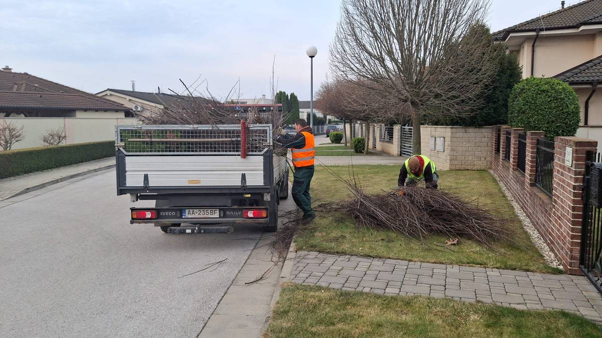Posledný tohtoročný jarný zber konárov a orezov zo záhrad rodinných domov sa uskutoční v sobotu 28. marca v lokalitách Tulipán a v časti Vajslovej doliny – od Trnávky smerom k Tulipánu, na Vozovke a v časti Vajslovej doliny – od Vozovky po Trnávku, na uliciach B. S. Timravy, Kollárovej a Športovej.  Orezy zo záhradných drevín je potrebné v deň mobilného zberu vyložiť pred rodinný dom do 7.00 h.     Zberové vozidlo prechádza každou ulicou iba jedenkrát, preto je dôležité vyložiť konáre pred dom včas.     Verejné priestranstvo znečistené zvyškami z konárov je nutné upratať bezprostredne po zbere.     Prosíme obyvateľov rodinných domov, aby pred domy nevykladali nádoby ani vrecia s trávou, lístím a inými zvyškami rastlín zo záhonov a pod. Tie sa počas mobilného zberu orezov nezbierajú, patria do hnedých zberných nádob na biologicky rozložiteľný komunálny odpad (BRKO).     Viac informácií nájdete v tomto článku.     Zdroj foto: FB Mestské služby mesta Trnava