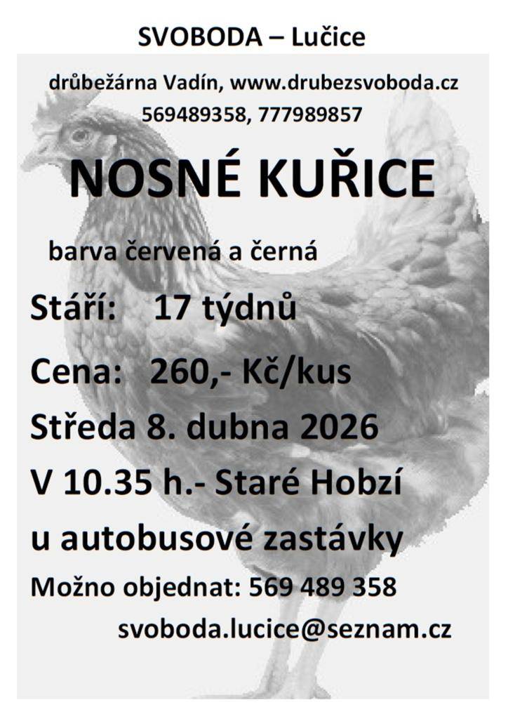 Ve středu 8.4. 2026 v 10:35 autobusová zastávka ve Starém Hobzí.