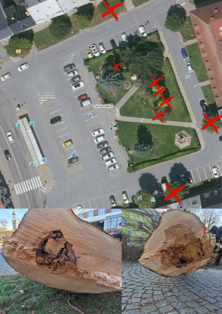 Součástí projektu je i výsadba nových stromů.