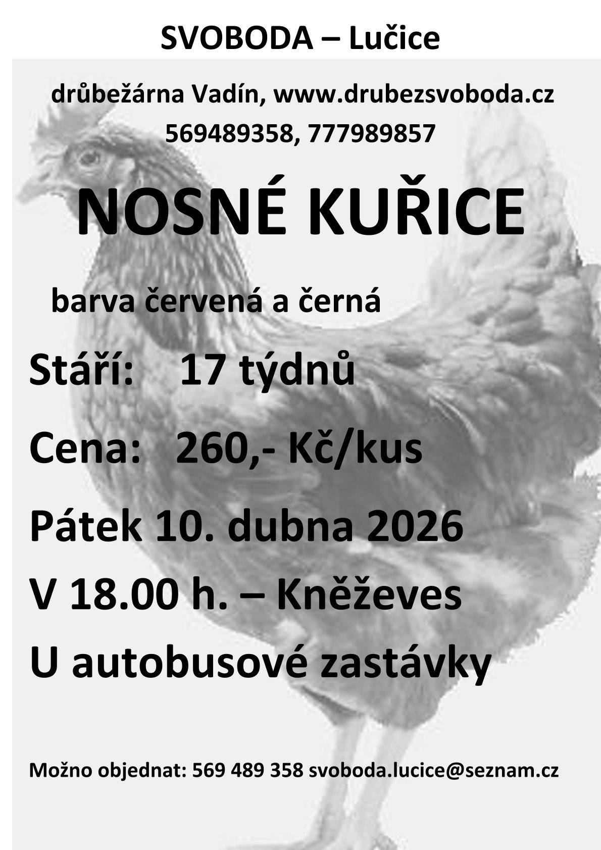 Svoboda Lučice bude v pátek 10.4.2026 v 18:00 hod u zastávky v Kněževsi prodávat nosné kuřice, stáří 17 týdnů, cena 260 Kč/ks. Možno objednat tel. 569 489 358.