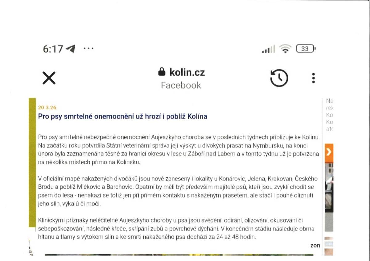 POZOR!!!!!!!!! Pro psy smrtelné onemocnění Aujeszkyho choroba už hrozí i poblíž Kolína – lokalita U Konárovic, Jelena, Krakovan, Českého Brodu a poblíž Mlékovic a Barchovic viz. článek