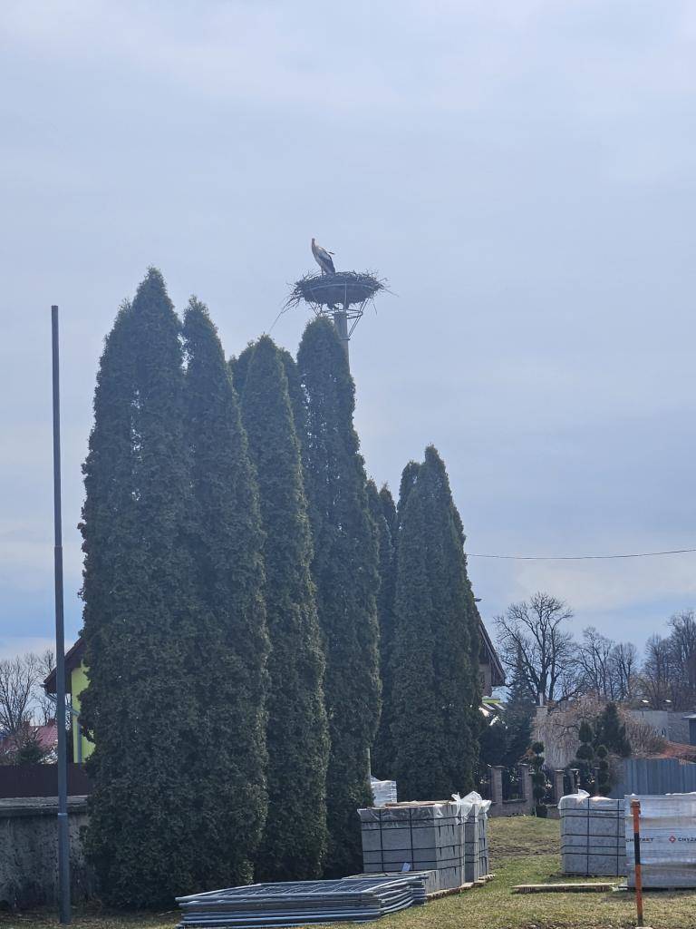 Na starom cintoríne bol umiestnený veľkoobjemový kontajner. Upozorňujeme občanov, že kontajner je určený výhradne na odpad z cintorína. Je prísne zakázané ukladať doň iný druh odpadu. Ďakujeme za rešpektovanie tohto pokynu.
