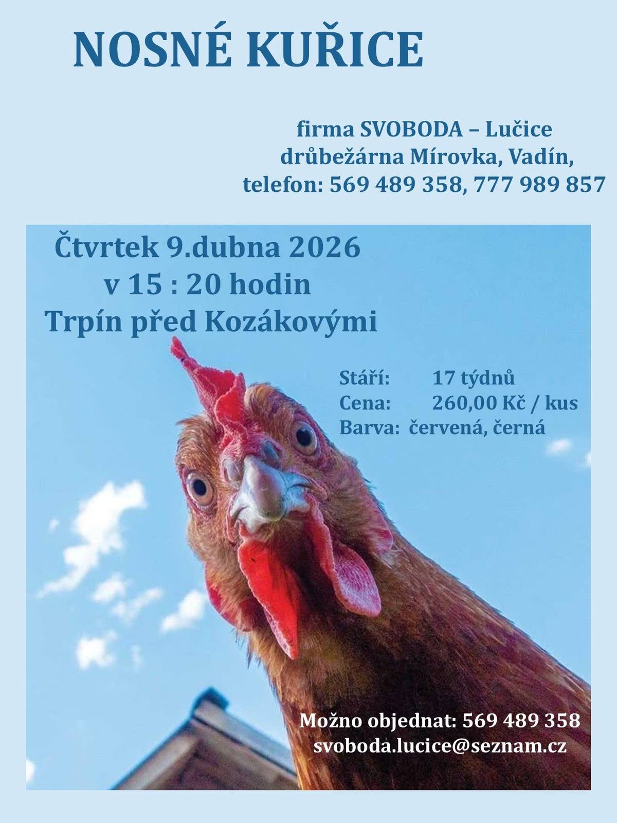 Firma Svoboda Lučice bude prodávat ve čtvrtek 9. dubna 2026 v 15:20 hodin před Kozákovými nosné kuřice, stáří 17 týdnů, cena 260,00 Kč/kus, barva červená-Isa brown a černá-Morávia  Objednání je možné na  tel. 569 489 358