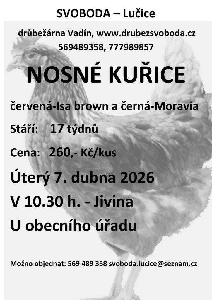 Prodej kuřic 7.4.2026 10.30 u obecního úřadu
