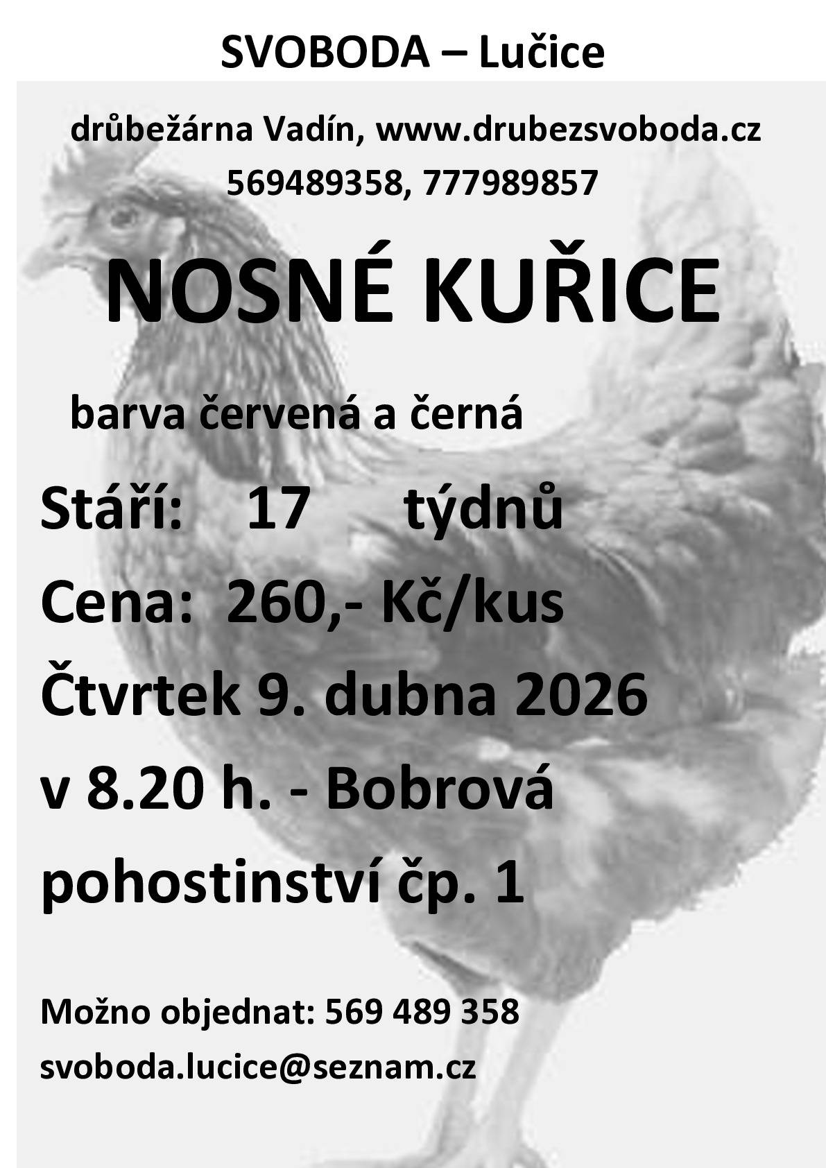 Firma Svoboda Lučice bude prodávat ve čtvrtek 9. dubna 2026 v 8.20 hodin u pohostinství č.p. 1 nosné kuřice, stáří 17 týdnů, cena 260,- Kč/kus, barva červená-Isa brown a černá-Morávia    Objednání je možné na  tel. 569 489 358 nebo emailem svoboda.lucice@seznam.cz