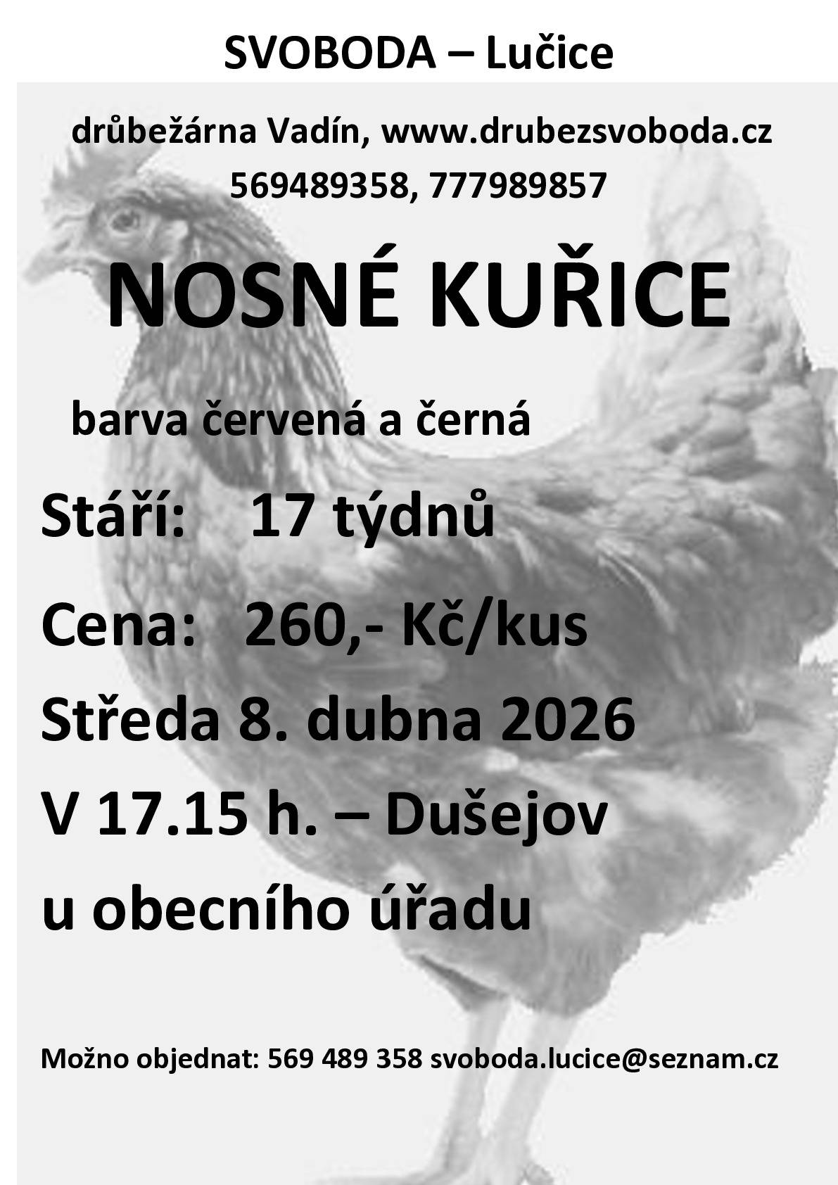 Firma Svoboda Lučice bude prodávat ve středu 8.4.2026 v 17.15 hodin u OÚ nosné kuřice, stáří 17 týdnů, cena 260,- Kč/kus, barva červená-Isa brown a černá-Morávia.   Objednání je možné na  tel. 569 489 358 nebo emailem svoboda.lucice@seznam.cz