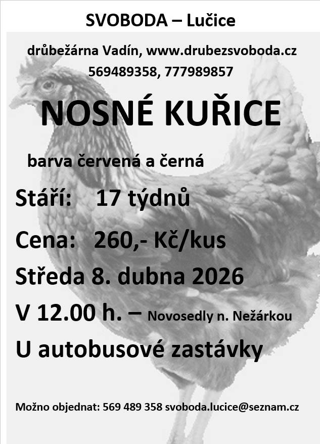 Firma Svoboda Lučice bude prodávat  ve středu 8. dubna 2026 v 12.00 hodin u autobusové zastávky nosné kuřice, stáří 17 týdnů, cena 260,- Kč/kus, barva červená-Isa brown a černá-Morávia     Objednání je možné na  tel. 569 489 358 nebo emailem svoboda.lucice@seznam.cz