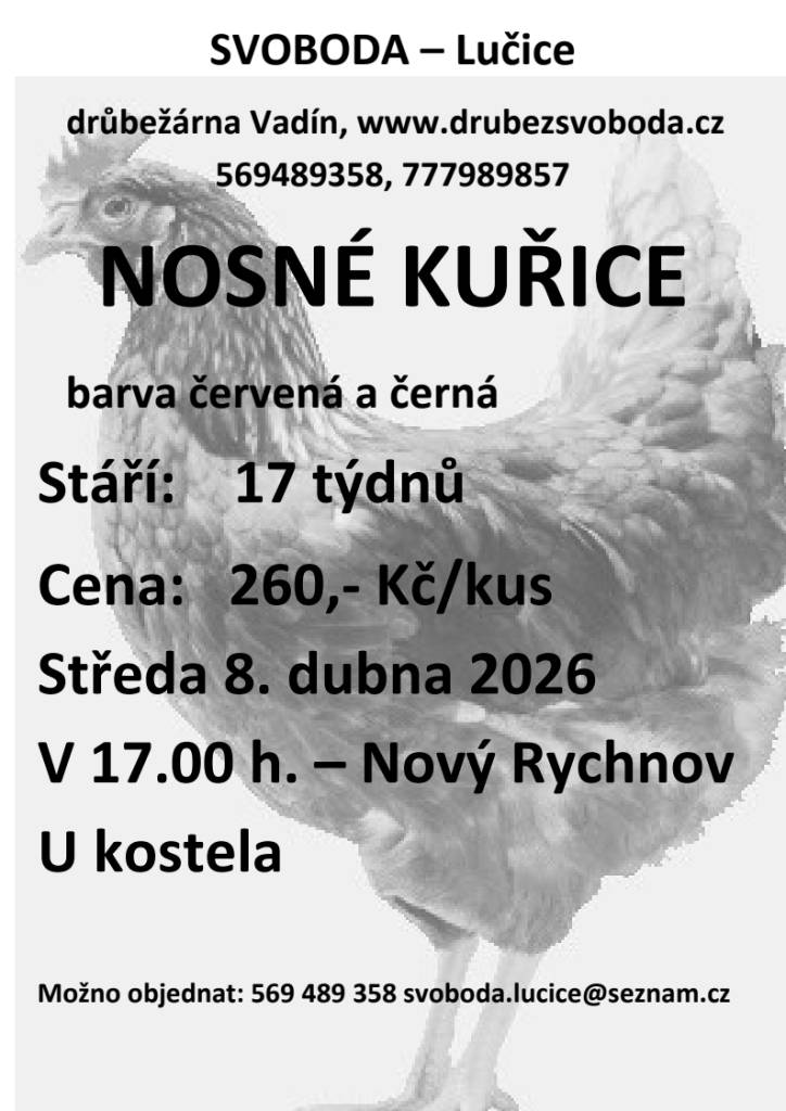 Firma Svoboda Lučice bude prodávat ve středu 8. dubna 2026 v 17.00 hodin u kostela nosné kuřice, stáří 17 týdnů, cena 260,- Kč/kus. Barva červená-Isa brown a černá-Morávia   Objednání je možné na tel. 569 489 358 nebo emailem svoboda.lucice@seznam.cz
