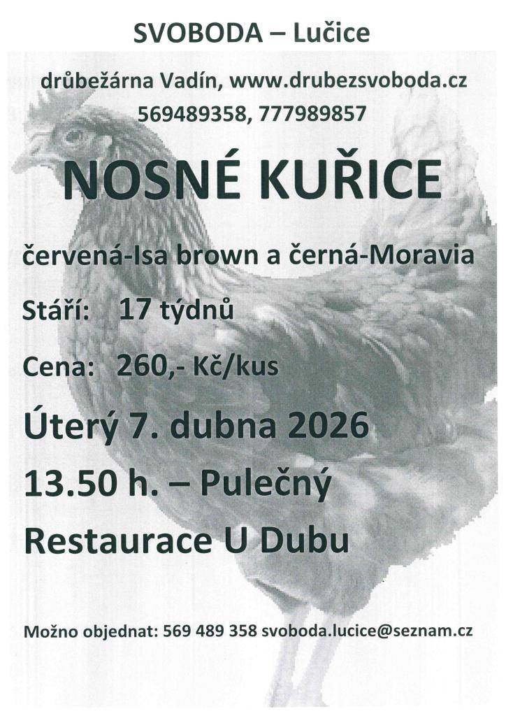 Firma Svoboda Lučice bude prodávat v úterý 7. dubna 2026 v 13.50 hodin u restaurace U Dubu nosné kuřice, stáří 17 týdnů, cena 260,- Kč/kus, barva červená-Isa brown a černá-Morávia   Objednání je možné na  tel. 569 489 358 nebo emailem svoboda.lucice@seznam.cz