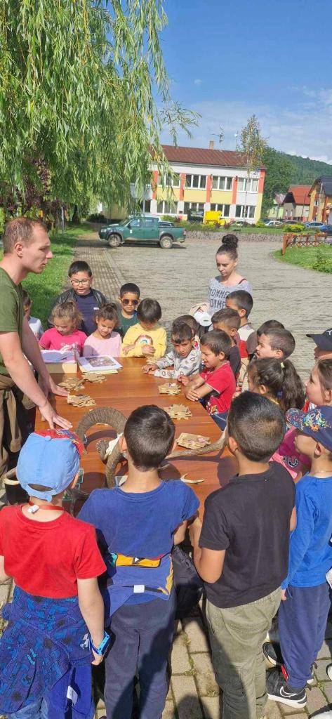 Lesná pedagogika