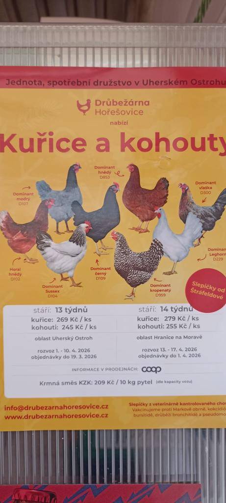 COOP Jednota Bělotín informuje občany, že v prodejně Bělotín je možné objednat: kuřice za cenu 279 Kč/ks, kohouty za cenu 255 Kč/ks (stáří 14 týdnů), krmnou směs za cenu 209 Kč / 10 kg. Objednávky  přijímají do 1. 4. 2026.