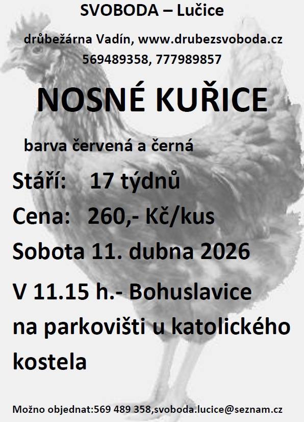 sobota 11.4.2026   11:15 hod.