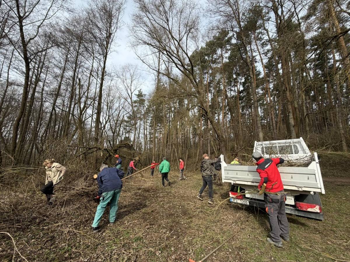Více než dvacítka dobrovolníků se zapojila do letošního Dobrodne v Kůští. Společnými silami se podařilo vyčistit zarostlé okolí Kůšteckého rybníka a pokácet nebezpečně poškozenou vrbu.