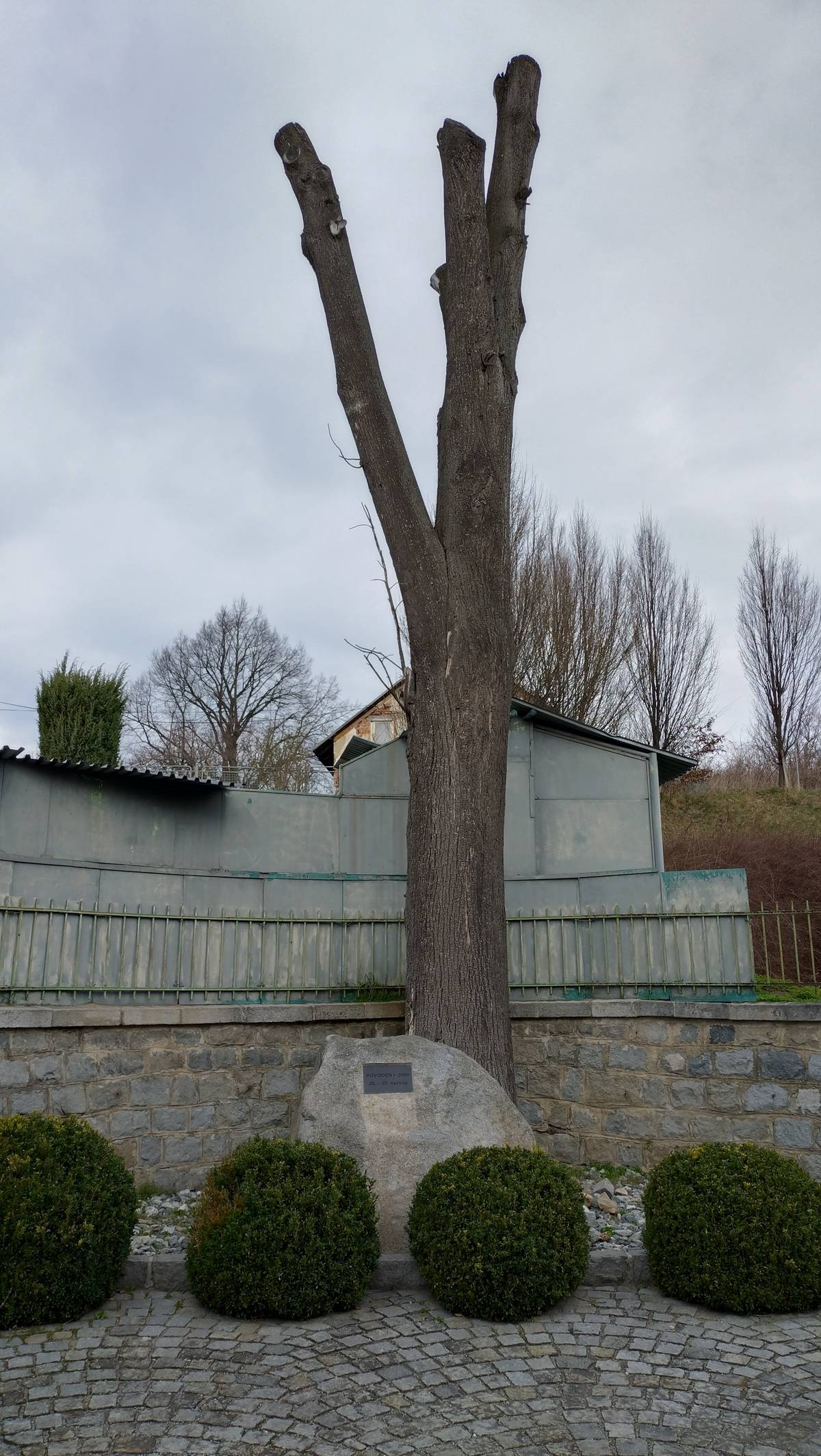 V naší obci před Základní a mateřskou školou máme starý kmen stromu a chtěli bychom z něj vytvořit něco krásného a originálního. Máte nápad? Napište svůj návrh, případně přidejte i jednoduchý náčrt nebo inspiraci. Fantazii se meze nekladou.... Termín pro zaslání návrhů: do 15. 4. 2026. Návrhy můžete vhodit do obecní schránky (zelená na chodbě), donést osobně na obecní úřad nebo posílat e-mailem: podatelna@skorosice.cz Po doručení vašich návrhů bude vyhlášena anketa, kterou vyberete nejlepší návrh, který bude realizován. Děkujeme za vaše nápady