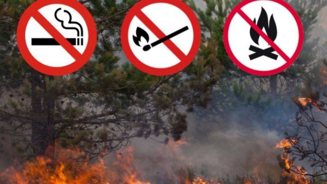 Okresné riaditeľstvo Hasičského a záchranného zboru v Prešove upozorňuje občanov na zvýšené riziko vzniku požiarov v jarnom období. Žiadame verejnosť, aby dbala na zvýšenú opatrnosť pri pohybe v prírode, nezakladala oheň mimo vyhradených miest a neodhazovala neuhasené cigarety či zápalky.