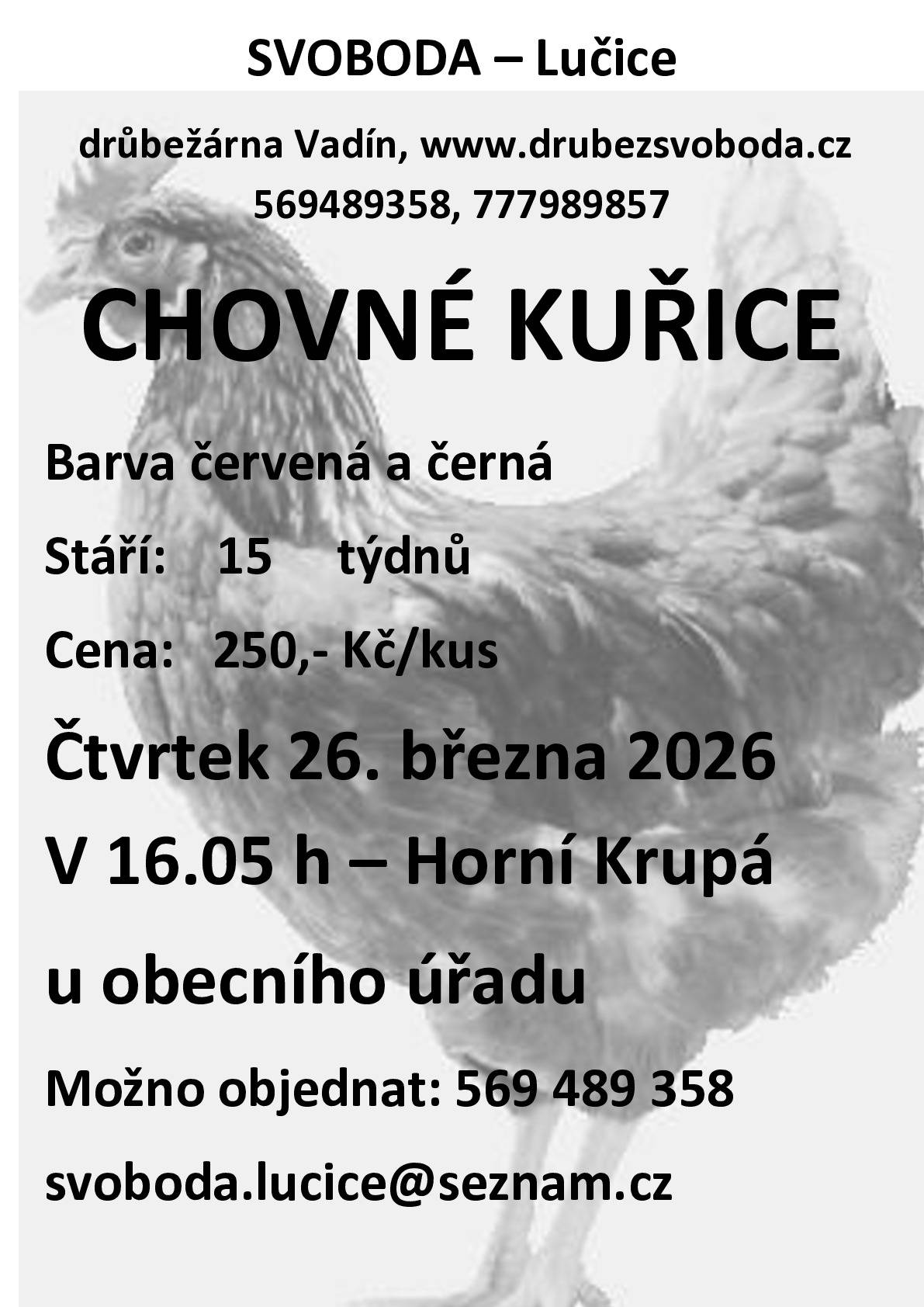Firma Svoboda Lučice bude prodávat ve čtvrtek 26. března 2026 v 16.05 hodin u OÚ  nosné kuřice, stáří 15 týdnů, cena 250,- Kč/kus, barva červená-Isa brown a černá-Morávia   Objednání je možné na  tel. 569 489 358 nebo emailem svoboda.lucice@seznam.cz