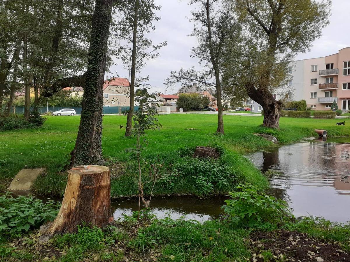 Park u návesního rybníka ve Zbůchu se zásadně promění. V samém centru obce získáme nový rekreační a společenský prostor s nabídkou volnočasových aktivit i příjemné místo k odpočinku.