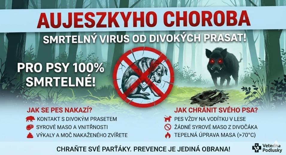 Na území obce Staré Hobzí se u divokých prasat potvrdil výskyt virového onemocnění Aujeszkyho choroba.