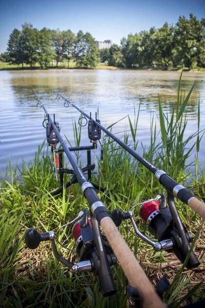 Zakoupit můžete v kanceláři úřadu v úřední hodiny v ceně 300,- Kč a 150,- Kč.
