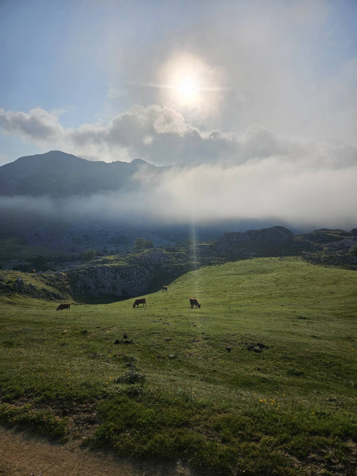 Drazí farníci, postní doba se nám chýlí k závěru a je před námi Svatý týden. Je to týden, ve kterém si připomínáme lásku, kterou ke každému z nás projevil Ježíš Kristus Nazaretský. Na Zelený čtvrtek si připomínáme ustanovení Eucharistie (mše svaté) a Ježíšův zápas v Getsemanech o přijetí Boží vůle – tedy plánu spásy pro lidstvo. Na Velký pátek Ježíšovo umučení při křížové cestě a položení do hrobu. Jelikož Židé vnímali čas nového dne s první vycházející hvězdou, tak slavíme takzvanou vigilii Bílé soboty. Jsem rád, že po roce příprav během této vigilie přijme křest pět lidí z našeho okolí. Tato bohoslužba je nejdelší v roce, neboť v sobě skrývá tajemství naší spásy, to, že Kristus vstal z mrtvých, a sice jako první z těch, kteří zesnuli. Proto Vás srdečně zvu na tuto slavnost ke společnému slavení. Také bych Vás rád pozval v květnu na kolaudaci fary a její požehnání. Uskuteční se 31. 5. v neděli 10.30 během poutě ke cti Nejsvětější Trojice a zavítá k nám P. Mgr. Martin David – biskup ostravsko-opavské diecéze. Budu se těšit na společné setkání a vyprošuji Vám požehnané velikonoční svátky. Mám Vás rád.                                                                 Váš P. Pavel Obr, farář