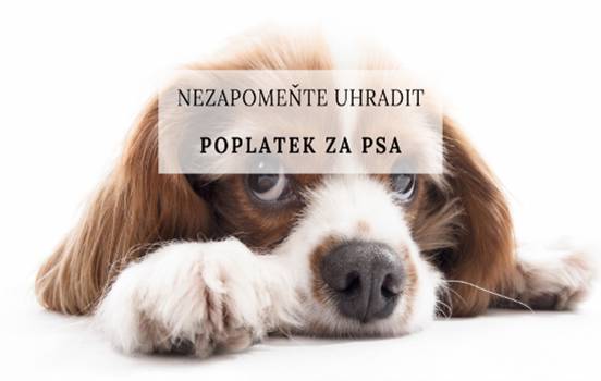 Připomínáme, že 31.3.2026 je splatný poplatek za psa. Ještě stále evidujeme mnoho neuhrazených poplatků, žádáme tedy o brzkou úhradu na účet obce: 1231377379/0800. Částka je 100,- Kč/pes. Také připomínáme ohlašovací povinnost - správci poplatků je potřeba ohlásit veškeré změny v počtu psů u majitele (úbytky i přírůstky).  Děkujeme všem, kteří platí řádně a včas.