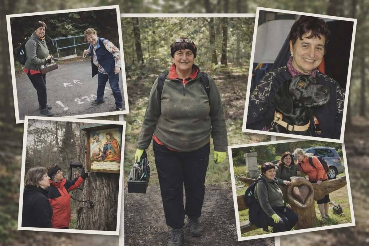 25. 3. 2026 nainstaloval ve vlčihorském katastru, na trase Köglerovy naučné stezky mezi studánkou Veronika a rozhlednou Vlčí hora, krásnolipský klub KČT Krásná Lípa novou turistickou "atrakcičku"- Jitčinu vyhlídku.   Součástí vyhlídky je lavička se zvoničkou a pojmenovaná je na počest Jitky Peterkové (1949 - 2022), jež zůstala navždy v srdcích přátel z klubu KČT Krásná Lípa. Prvky vyhlídky zhotovil Jaroslav Vlasák z Křešic (tel. pro zájemce 608 964 208).   Poděkování za pomoc, spolupráci a podporu při výrobě a instalaci vyhlídky patří:   KČT Krásná Lípa Jaroslav Vlasák - Křešice Lesy České republiky, Lesní správa Rumburk Ing. Jan Drozd Hasiči Krásná Lípa Lucie Fiala Leoš Virgler Jitka Štraubová Lucie Mošovská Churáčková Václav Hieke   Díky