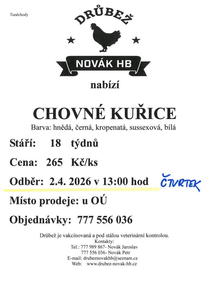 Různé barvy, stáří 18 týdnů, cena 265,- Kč za kus.  Objednávky na tel. 777 556 036.