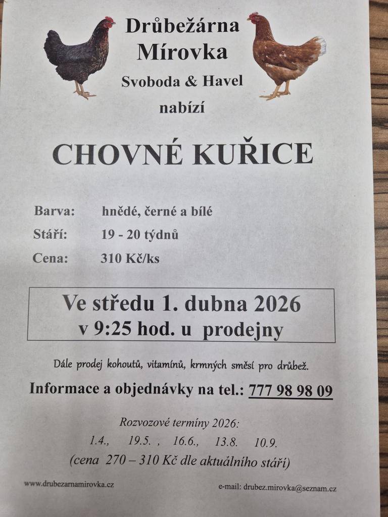 Drůbežárna Mírovka prodej kuřic