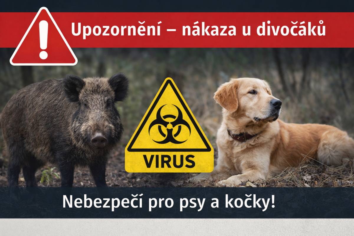 Obec Lhůta upozorňuje na výskyt Aujeszkyho choroby (pseudovztekliny) u divokých prasat. Nákaza není nebezpečná pro člověka, ale představuje vážné riziko pro psy a kočky, pro které je ve většině případů smrtelná. Žádáme občany o zvýšenou opatrnost při pohybu v okolí lesů a při venčení psů.