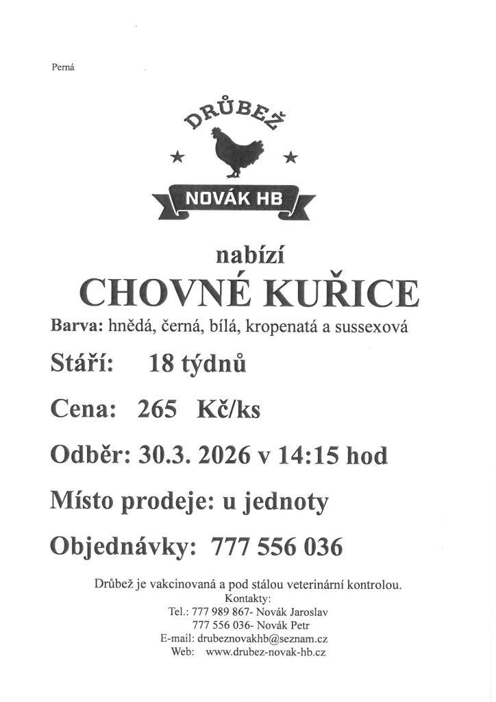 Drůbež Novák HB- drůbežárna Mírovka, prodává 30. 3. 2026 ve 14:15 hod, nosné kuřice před snůškou, stáří 18 týdnů, cena 265 Kč za kus, barva hnědá, černá, bílá, kropenatá, sussexová.