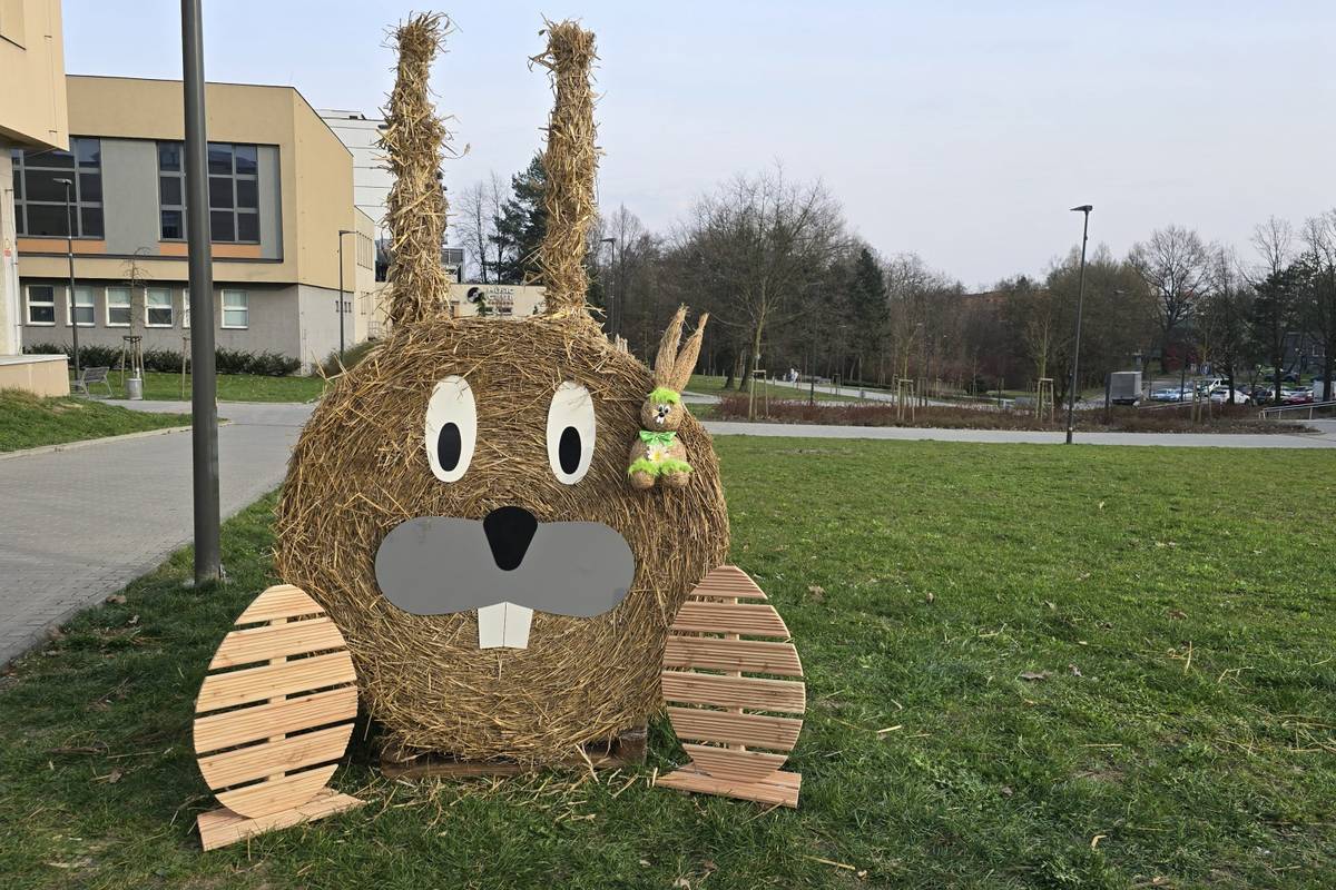 Blíží se svátky jara a město Orlová oživila velikonoční výzdoba. Na náměstí 28. října trůní zajíček s mládětem a japonské magnólie zdobí výrobky dětí z orlovských základních a mateřských škol. Výrobky školáků a předškoláků zkrášlily také prostory městského úřadu. Na Starém náměstí pak najdete pletené vejce obklopené dřevěnými ...