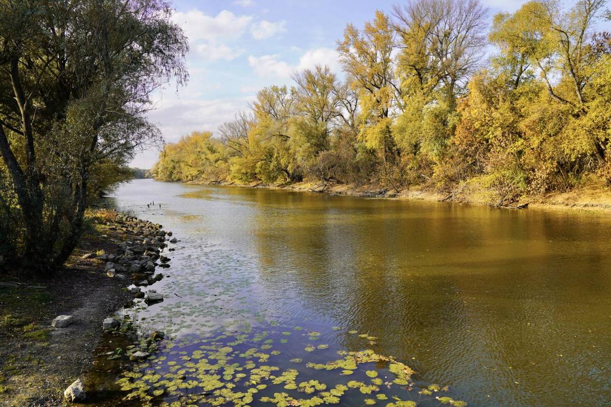 Kolárovo leží na sútoku Malého Dunaja a Váhu, v srdci Žitného ostrova. Voda tu nie je len súčasťou krajiny – nesie príbehy, uchováva spomienky a ticho nás sprevádza každodenným životom. Dáva nám život, pokoj aj silu.