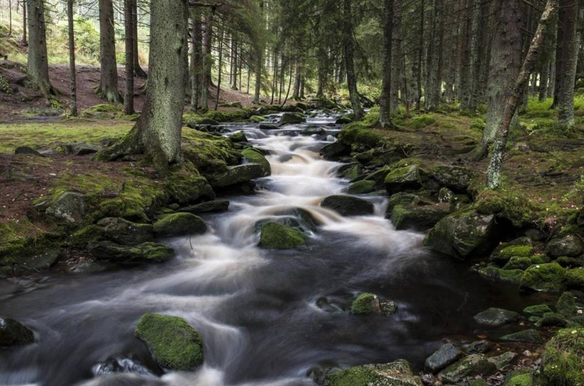 Upozorňujeme občany, že dle Zákona č. 254/2001 Sb. je zakázáno vypouštět odpadní vody do vodních toků.   Pokud toto bude zjištěno, bude takové jednání neprodleně ohlášeno ČIŽP nebo Policii ČR.