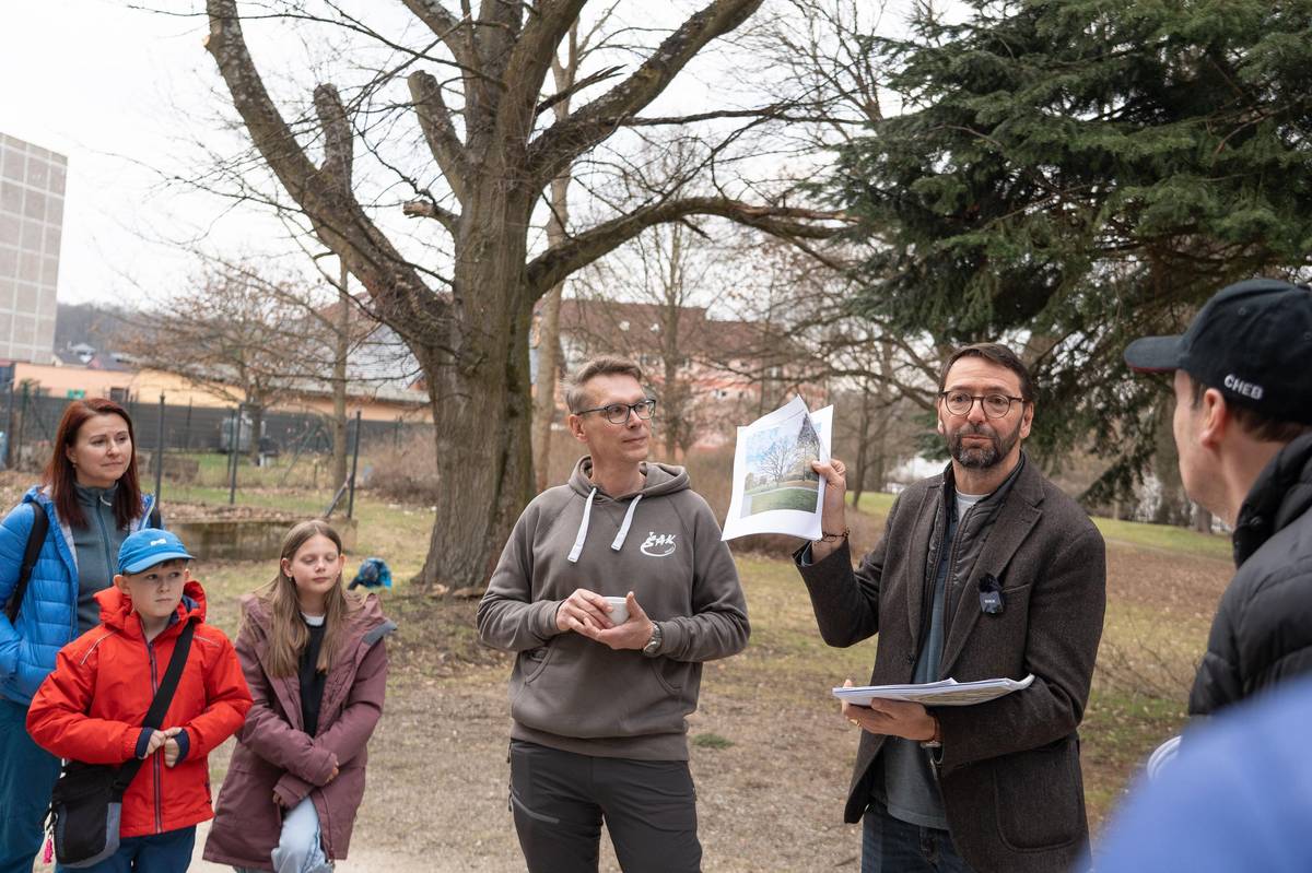 CHODOV (25. 3. 2026) – Více než stoletý dub červený, jeden z nejstarších stromů v parku u městské knihovny, musel být v těchto dnech pokácen. Odborníci po pečlivém průzkumu potvrdili, že strom byl vážně nemocný a mohl představovat nebezpečí pro své okolí. „Arboristé, kteří ve městě pravidelně kontrolují všechny stromy, pomocí tomografu zjistili, že vnitřek dubu je značně oslabený, rovněž je napadený houbou,“ vysvětlil starosta Patrik Pizinger důvod kácení mohutného stromu. Ještě před samotným pokácením dubu sezval starosta obyvatele města přímo na místo, kde se lidé mohli s letitým stromem symbolicky rozloučit. Zároveň přítomné seznámil se závěry odborného posudku arboristů. „Každý strom, který pokácíme, nahradíme. Nejinak tomu bude i v tomto parku, pro jehož oživení a novou výsadbu už máme zpracovanou studii,“ poznamenal starosta. Starý dub by mohly u knihovny připomínat například lavička nebo stolek zhotovený z jeho dřeva. „Doufáme, že alespoň část dřeva bude možné využít a truhláři v dílně Mateřídoušky ho zpracují na pěkné výrobky,“ doplnil starosta.