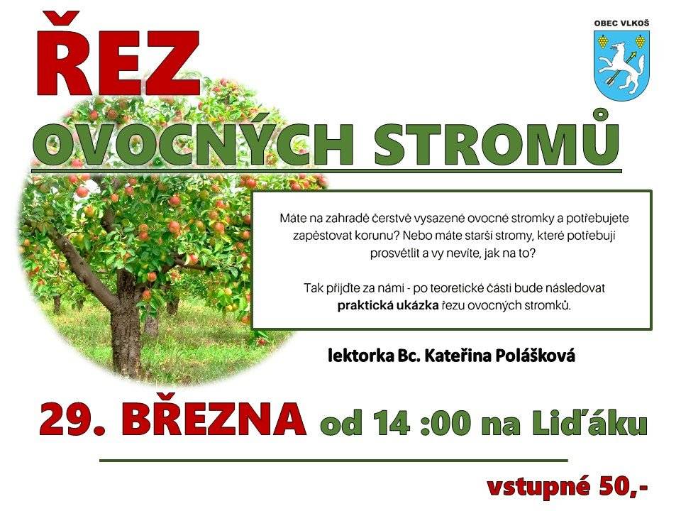 Připomínáme velikonoční nabídku Donesto pro Vlkoš. Objednat si můžete čerstvé pečivo, zákusky, veky i sladké na sváteční dny s rozvozem až domů. Objednávky přijímáme na telefonu 730 454 848 a webu Donesto.cz   Pneuservis a Autoservis X car Kyjov u vlakového nádraží nabízí následující služby: přezouvání vozů osobních, nákladních i AGRO rychle, levně a kvalitně, akční ceny na letní pneumatiky a disky, měření geometrie za pouhých 490 Kč a možnost objednání přes internet. Více informací najdete na www.xcarcentrum.cz, nebo volejte na telefonní číslo 774/610718. X car centrum v Kyjově u vlakového nádraží se těší na Vaši návštěvu.   SDH Skoronice Vás zve na I. ročník koštu ovocných pálenek. Uskuteční se v so 28.3. od 14 hod. v sále obecního domu ve Skoronicích. Součástí akce bude košt pomazánek. Vstupné 250 Kč.   Kyjovské Slovácko v pohybu Vás zve na 3. ročník sousedského pochodu pro mozek v rámci celostátní akce „týdne trénování paměti“. Akce se uskuteční v ne 29.3., start ve 14 hod. z odpočívadla na začátku cyklostezky do Vracova. V případě nepříznivého počasí se akce neuskuteční.   Společnost Radmil CZ s.r.o. Vracov hledá schopné lidi na pozici instalatér. Praxe v oboru nutná. Nabízí výhodné finanční ohodnocení a práci na hlavní pracovní poměr ve stabilní společnosti. Životopisy zasílejte na email radmil@radmil.cz.