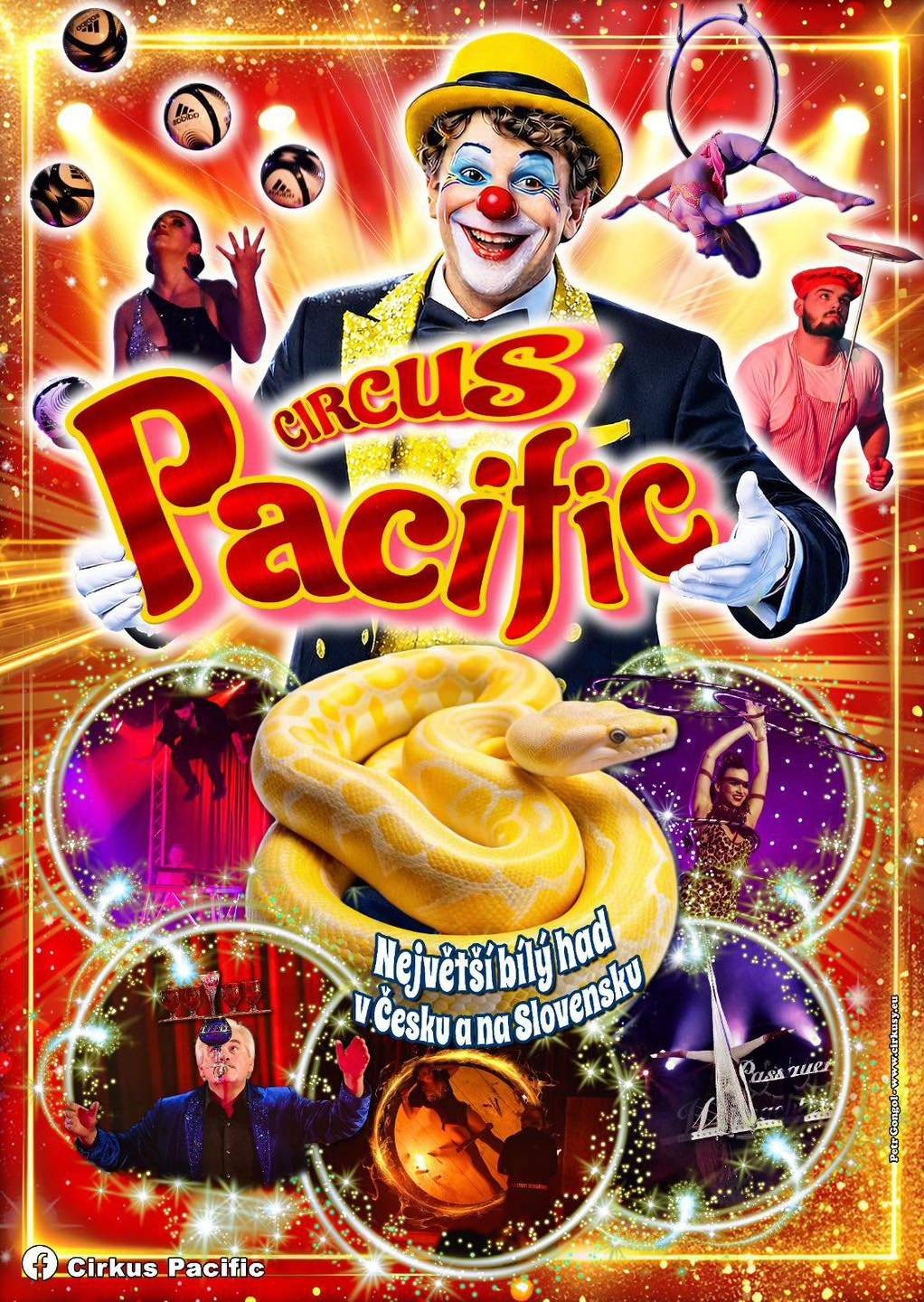 Cirkus Pacifik, který právě přijíždí do Mnichova Hradiště, během své zastávky ve městě uspořádá tři cirkusová představení. V programu budou pod kupolí stanu k vidění artisté, klauni, vrhači nožů nebo akrobaté, v rámci ohnivé show uvidíte největšího bílého hada v České republice, který váží 130 kg. Cirkusová pokladna bude otevřena vždy hodinu před začátkem programu. Děti do tří let mají vstup zdarma. V programu je možnost fotografování s hady. Představení se budou odehrávat na dopravním hřišti, a to v pátek 27. března od 17 hodin, v sobotu 28. března od 17 hodin a v neděli 29. března od 15 hodin. V případě nepříznivého počasí bude stan vytápěn.