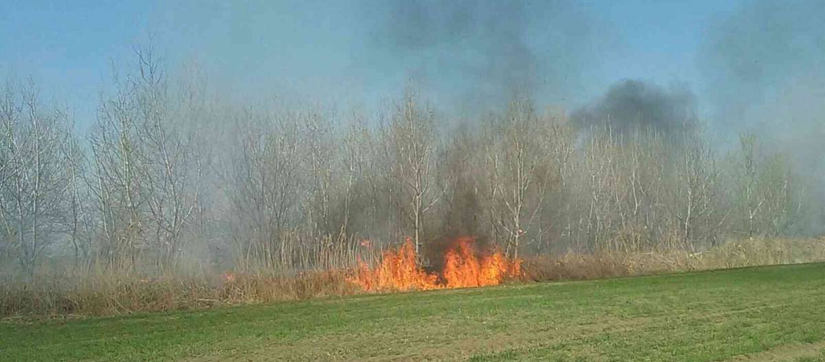 S príchodom jari  sa zvyšuje riziko vzniku požiarov spôsobených vypaľovaním tráv a porastov.