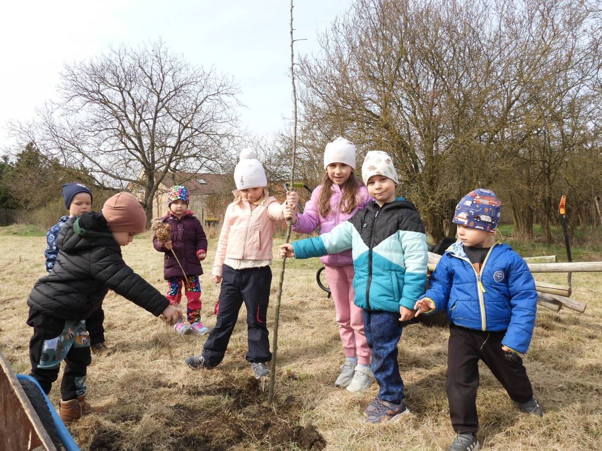 Dneska to u nás v Ústíně žilo! 🎉 Naše statečné děti ze školky se proměnily v opravdové zahradníky a s chutí se pustily do sázení nových stromků. 🌱 Podívejte se na fotky, jak jim to šlo! 😍 Bylo to plné úsměvů, napětí a možná i trochy hlíny za nehty. 😉 Ale hlavní je, že jsme společně udělali něco dobrého pro naši přírodu a pro naši obec. 🌍 Děkujeme všem našim malým šikulům za jejich pracovitost a nadšení! ❤️ Jsme na ně moc pyšní. 🥰