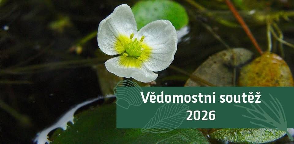 Správa Národního parku České Švýcarsko vyhlašuje 26. ročník oblíbené vědomostní soutěže, která už více než dvě desetiletí baví děti i dospělé otázkami z přírody a regionu. Letos se vydáme po stopách významného botanika Tadeáše Haenkeho, rodáka z Chřibské. Dozvíte se zajímavosti z jeho života a zároveň si vyzkoušíte, jaké to je být na chvíli botanikem při poznávání rostlin našeho národního parku.  Jak soutěžit Soutěž můžete vyplnit on-line prostřednictvím jednoduchého formuláře: https://docs.google.com/.../1FAIpQLSe2EM15O-CNtJ.../viewform Není potřeba nic posílat – odpovědi se ukládají automaticky. Pokud preferujete papírovou verzi, můžete si otázky stáhnout: https://www.npcs.cz/.../26%20roc%CC%8Cni%CC%81k_FINAL.pdf   a zaslat je: poštou na adresu: Správa NP České Švýcarsko, Pražská 52, 407 46 Krásná Lípa nebo e‑mailem na: j.judova@npcs.cz Nezapomeňte uvést jméno, věk a adresu. Obálku nebo e-mail označte heslem VĚDOMOSTNÍ SOUTĚŽ.  Kategorie a výhry Soutěží se ve čtyřech věkových kategoriích. V každé z nich vybereme ze správných odpovědí tři výherce. Pro vítěze jsou připraveny: publikace Správy NP České Švýcarsko a dárky od značky Wolfie  UZÁVĚRKA: 8. června 2026 Výsledky zveřejníme po skončení soutěže na webu Správy NP České Švýcarsko.  Dotazy? j.judova@npcs.cz, 775 552 790 Těšíme se na všechny malé i velké badatele!