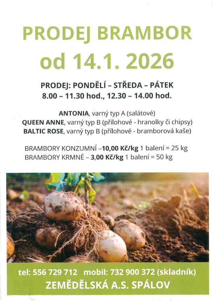 Zemědělská a.s. Spálov – prodej brambor  Stále v prodeji kvalitní konzumní i krmné brambory z vlastní produkce.  Kontakt:  732 900 372 (skladník)  556 729 712