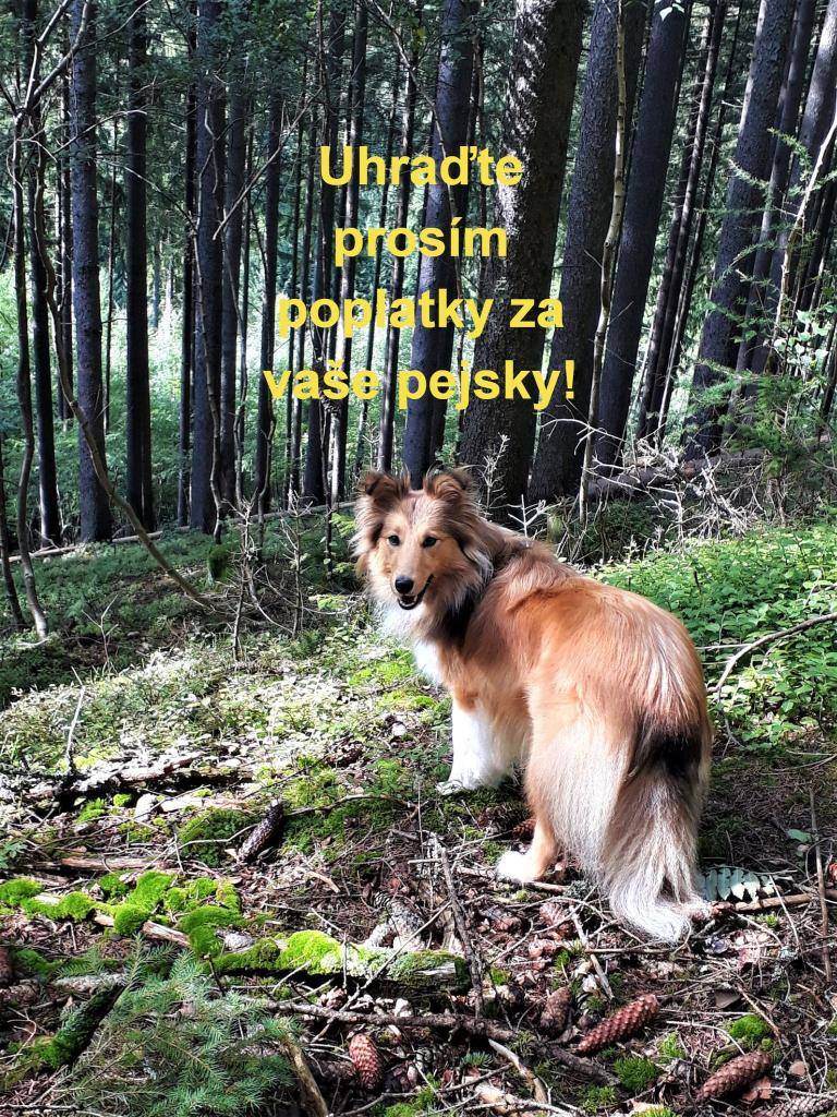 Připomínáme - splatnost do 30.4.2026