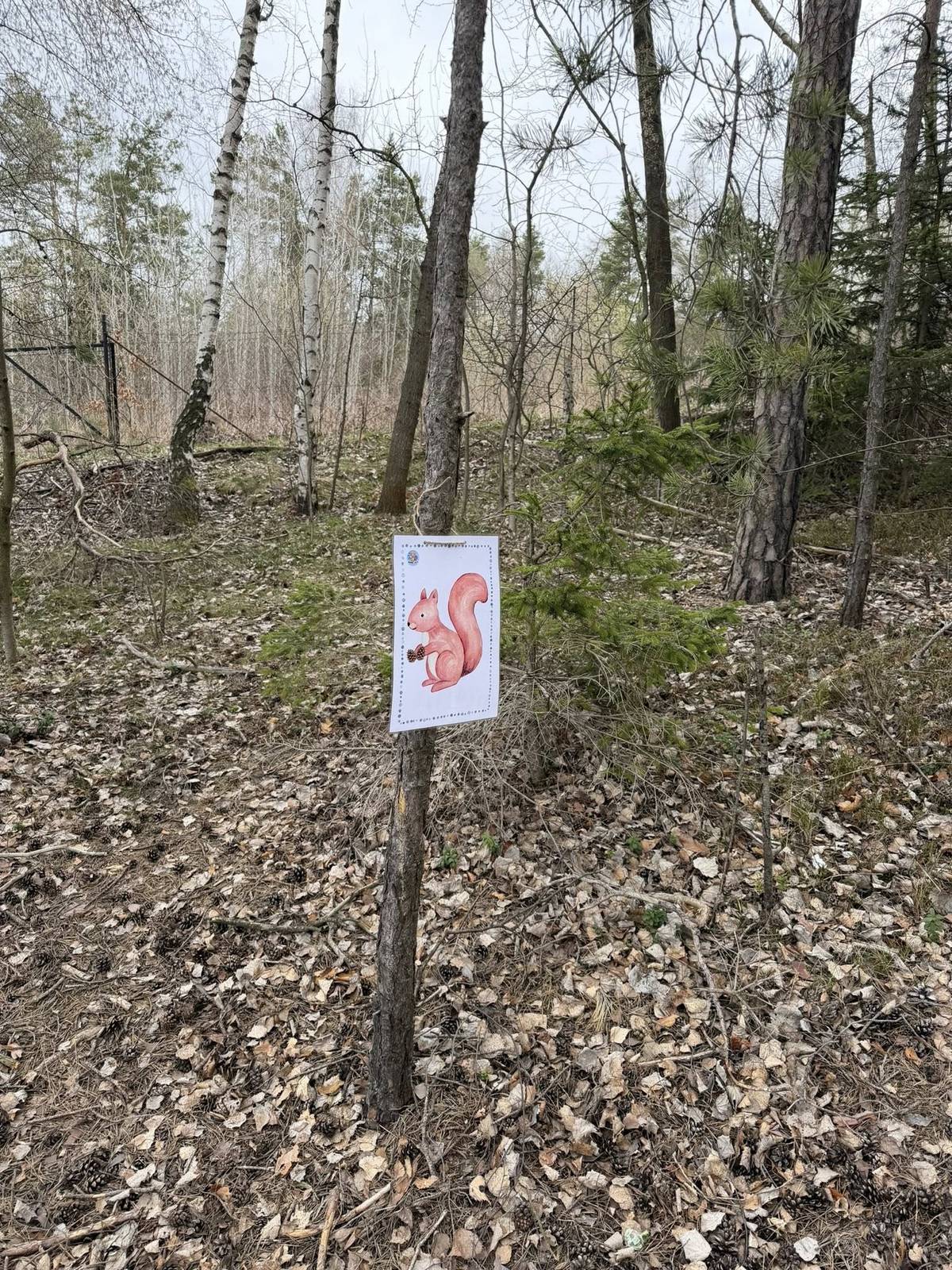 Jitka Motyčková s Táďou zvou všechny na jarní procházku. . V lesíku za kulturním domem dnes vybudovali naučnou stezku plnou úkolů pro předškolní děti i děti z prvního stupně ZŠ. . Využijte víkendové procházky a spojte ji s lesní stezkou, kudy vás provede třeba veverka, ptáček nebo liška. Hledejte další zvířátka a plňte úkoly, celkem můžete objevit 8 zastávek.🐰 . Moc děkujeme tvůrčímu duu za zpřístupnění stezky veřejnosti a nalákání dětí do probouzející se jarní přírody.👏