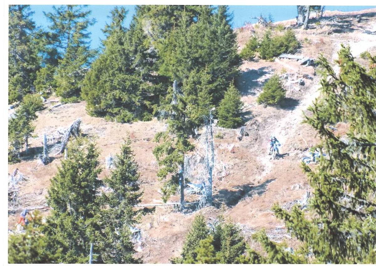 Výzva  k ohľaduplnosti v prírode